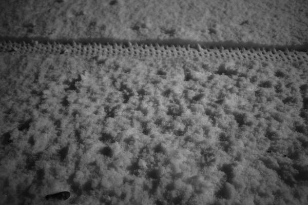 Schnee. Spuren.